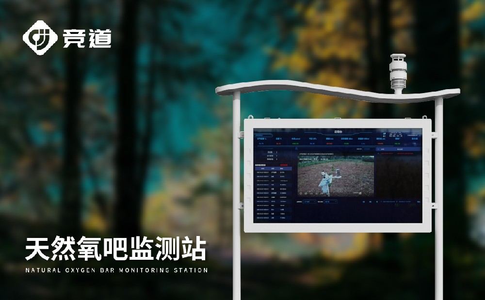 公園負氧離子設(shè)備廠家推薦山東競道光電