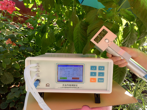 植物氣孔針有何應用？